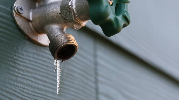 Best Local Plumber Services  in Emmett, ID